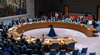 BRICS Stalemate at UN: Egypt, Ethiopia Block Joint Statement on Security Council Bid