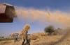 Egypt plans major wheat import reductions for budget savings