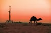Egypt makes new oil find in Western Desert