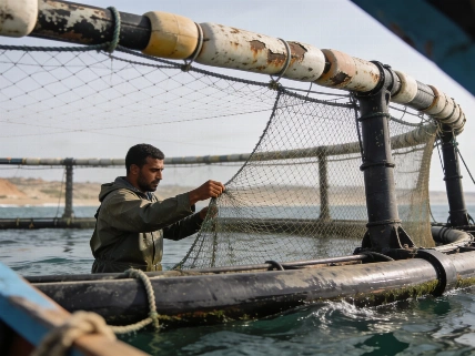 Morocco's Aquaculture Bet Runs Into Feed and Finance Maghreb Insider