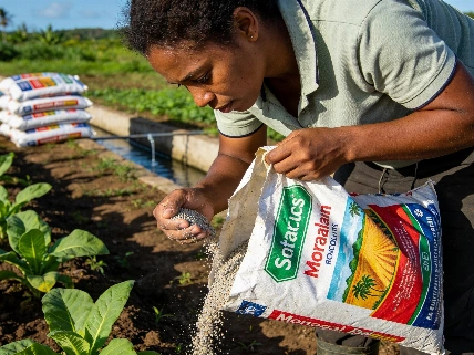 Moroccan Fertilizer Delivery Boosts Antigua and Barbuda's Food Security Maghreb Insider