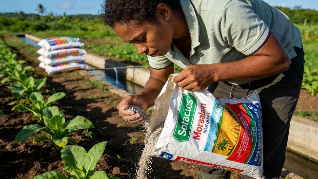 Moroccan Fertilizer Delivery Boosts Antigua and Barbuda's Food Security Maghreb Insider