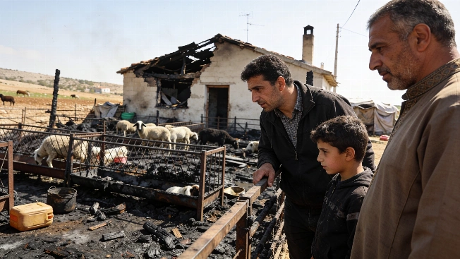 Algeria Moves to Compensate Wildfire Victims and Tighten Arson Laws Maghreb Insider