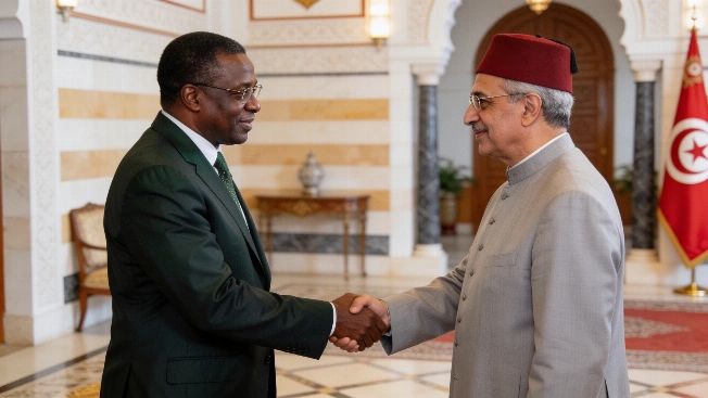 Nigeria's Ambassadors Present Credentials in Three Capitals Maghreb Insider